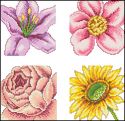 4 Floral Cards