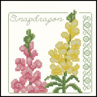 Carolyn Meacham Snapdragon