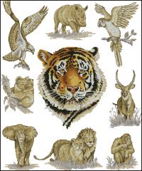 Anchor APC904 - Sempler