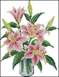 CS Beautiful stargazer lilies