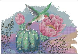 Колибри и кактус