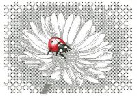 Ромашка и букашка