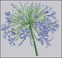 Acufactum 2496 Blutenball