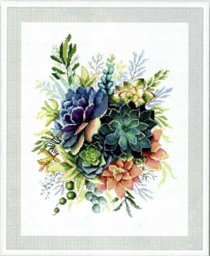 Суккуленты - букет