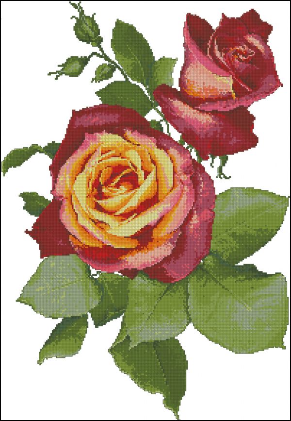 Вышивка крестом Бродвейская роза